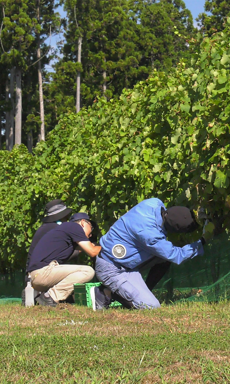 一般社団法人とみおかプラス – 富岡町の「未来に向けたまちづくり」を